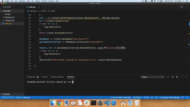 Quick Start: Deleting MongoDB Documents with Go смотреть онлайн