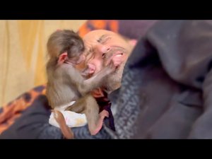 СМЕХ! Люська РАБОТАЕТ СТОМАТОЛОГОМ, Влада никто не спрашивает хочет ли он лечиться)))