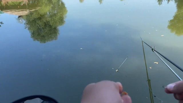 Ловля карпа на херабуну. смотреть онлайн