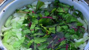 Борщ в казане на костре