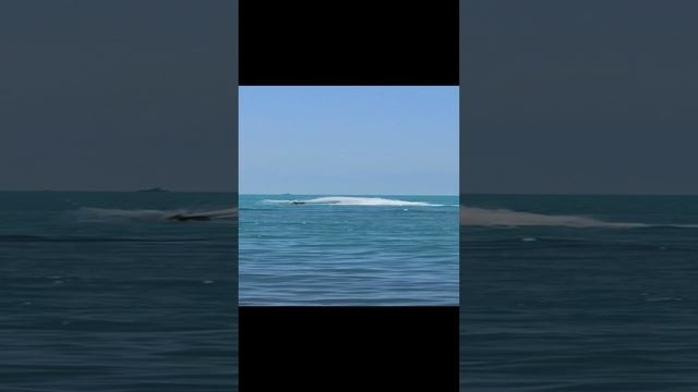 Развлечения в Сочи смотреть онлайн