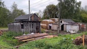 Завели коров | без опыта, но с амбициями