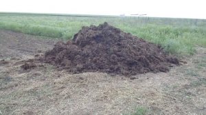 Природное виноградарство. Понемногу обо всем.