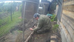 Забор из оцинкованной сварной сетки