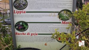 Azienda agricola Villarè.   L' orto urbano di Chiara