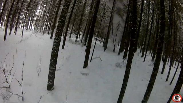 Охота на боровую и поиск новых мест. Без дичи не остался . смотреть онлайн