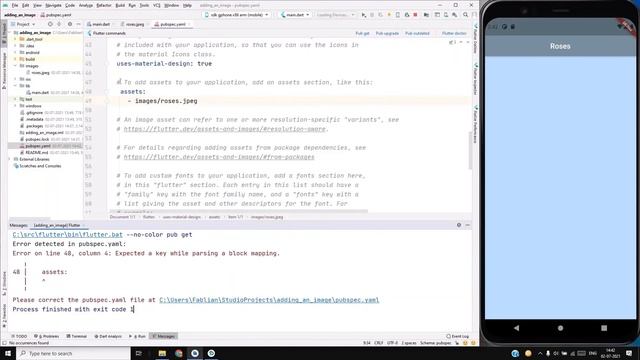 How to add image in Flutter app - [2021] - Android Studio Tutorial