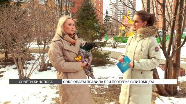 Этикет собачника: какие правила нужно соблюдать при прогулке с питомцем? смотреть онлайн