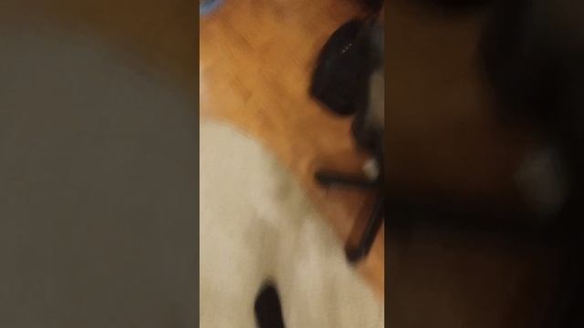 откапал из старых вещей старую камеру. смотреть онлайн