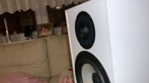 Pylon Audio Pearl 25 MKII