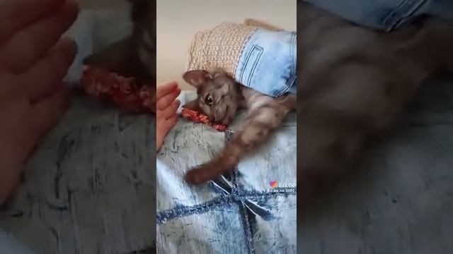 Сумка.Пэчворк.