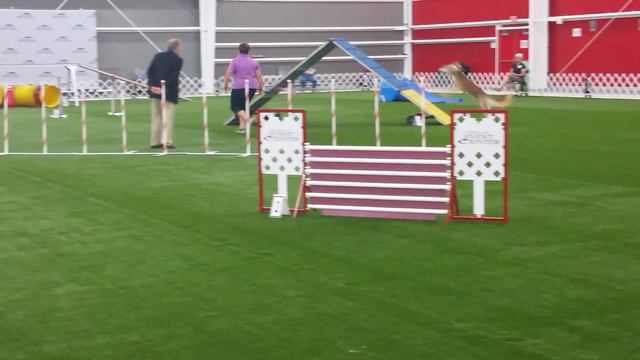 Sahdiq Master Standard Q смотреть онлайн