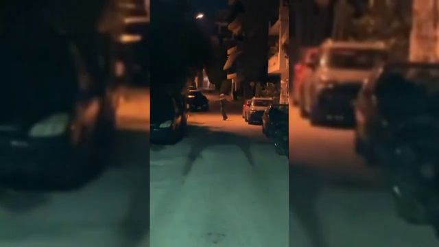 Кто такая Сербская леди? Вся правда..
