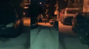 Кто такая Сербская леди? Вся правда..