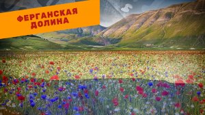 Киргизия-Таджикистан | Приграничный конфликт