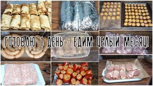 ? Заготовка ЕДЫ В Морозилку НА Месяц. Полуфабрикаты 23,5 кг
