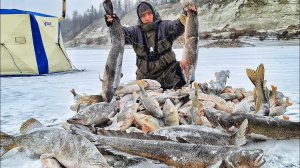 ЛЕСКА ТРЕЩИТ В ПАЛЬЦАХ! ПРОВЕРКА ЖЕРЛИЦ и ТУРБО КЛЁВ ОКУНЯ И ЩУК