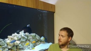 Отстаивать воду для аквариума? да или нет ?
