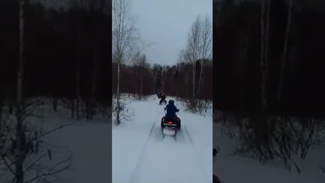 Прокат снегоходов в Москве, подмосковье.