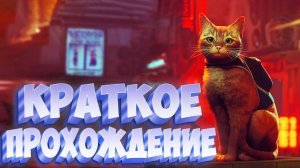 Краткое прохождение игры Stray