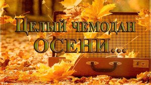 Целый чемодан осени*