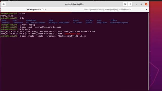 How to backup files and folders using Borg backup command in Linux