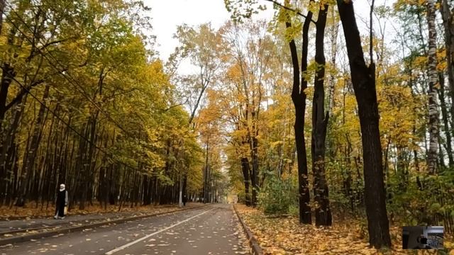 "Пап, там дедушку кассир обижает" сказала дочурка хирурга, а подойдя к нищему старику, врач обомлел смотреть онлайн