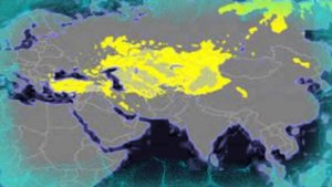 Уаки ( казахский род ) казахи Средний жуз казахов Уақ қазақ руы шежіре Тюрки Қазақстан ( Орта жүз )