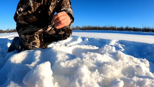 Рыбалка на жерлицы! Щуки озверели! Такого клёва я не видел! смотреть онлайн