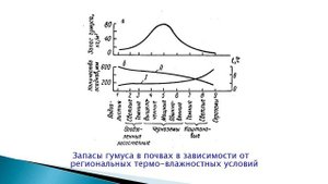 3-1. Грунтоведение. Твердое органическое вещество в грунтах. Гумус. Органо-минеральные комплексы.