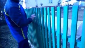 Фигурная обрезка забора без лекала