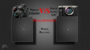 Nikon D5600 vs Sony Alpha A7C