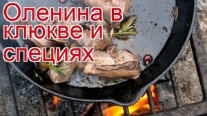 Как приготовить Внутреннюю часть бедра оленя пошаговый рецепт - Оленина в клюкве и специях