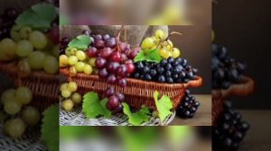 Христианские псалмы на жатву