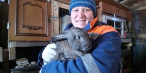 Клетка кроликам своими руками готова- Установка в крольчатнике.mp4