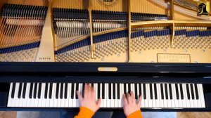 Drei Deutsche Tänze Schubert D971 C.Bechstein A228