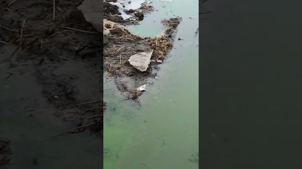 Пять лет бежит горячая вода в Соломбале #архангельск #соломбала #архангельскаяобласть #тгк2