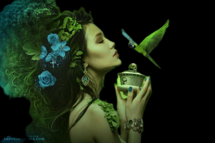 ЛЮДИ ГОВОРЯТ. ГОЛОСОВЫЕ О РЕЗУЛЬТАТАХ. ВЕДЬМИНА ИЗБА. ИНГА ХОСРОЕВА.mp4