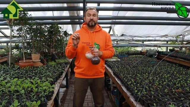 КАКИЕ СЕМЕНА НЕЛЬЗЯ ЗАМАЧИВАТЬ. КОГДА ЛУЧШЕ СЕЯТЬ ТАКИЕ СЕМЕНА.