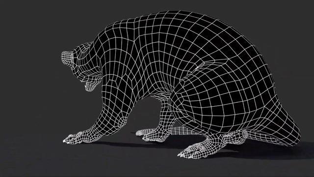 Rigged Furry Kinkajou 3D Model: Download - 3Ds Max