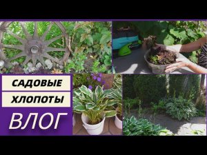 Садовые хлопоты/Дел уйма/Кот это жидкость/Клубника взбесилась@SubTatiana