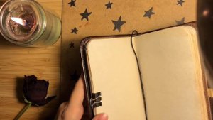 //заполняем личный дневник ~