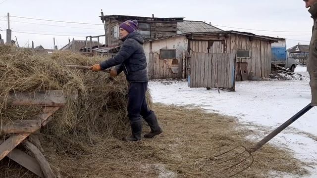 ЛПХ  в чем секрет успеха ?