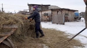 ЛПХ , в чем секрет успеха ?