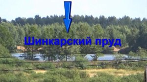 ПРОДАН, Ломносовский район Низино 7 соток #купитьучастоквнизино