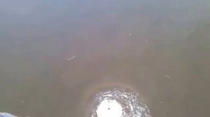 Прыжок, с пешеходный мост, 25 метров,  воскресенске.