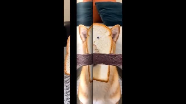 Вау как вкусно! смотреть онлайн