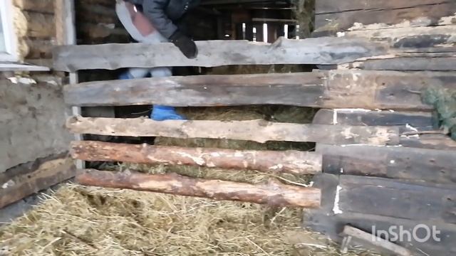 ТВОРОГ ИЗ КОЗЬЕГО МОЛОКА?ЛИНДА ПОЙМАЛА КРЫСУ? смотреть онлайн