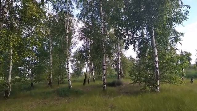 15 июля-ДЕНЬ БОЖИЕЙ МАТЕРИ.БЕРЕГИНЯ.Не нарушайте один запрет.