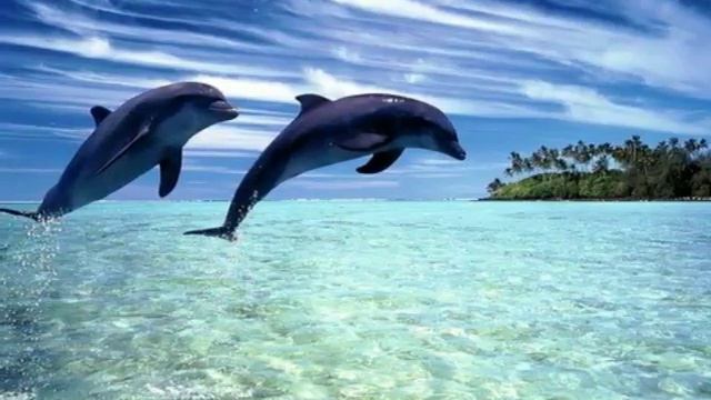 Красивые картинки под чудесную музыку. смотреть онлайн